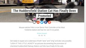 2016-03-16_Felix_the_Station_Cat