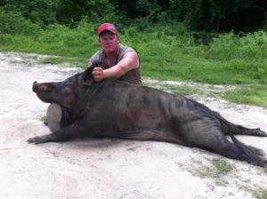 The hog that convinced Carlos the hunting dog to take early retirement.
